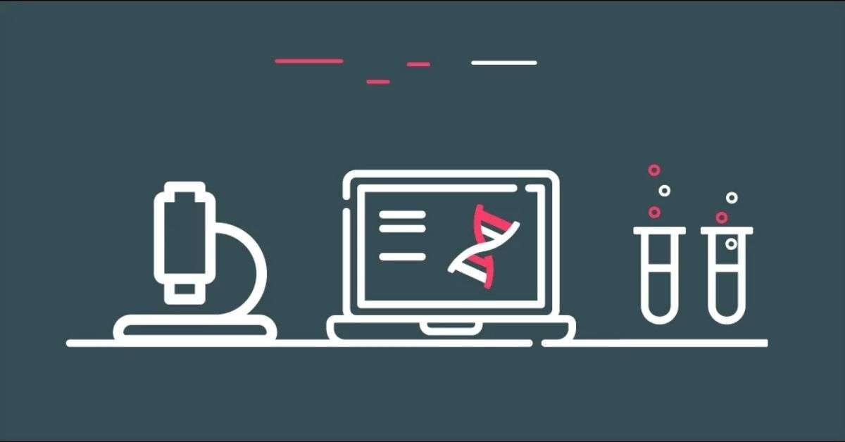 Instadeep: Tunisia’s AI Powerhouse Transforming Global Industries Instadeep