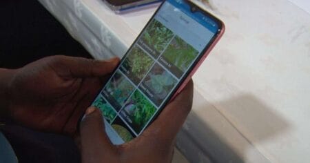 How AI Is Saving African Farms from Pests Plant Village 1