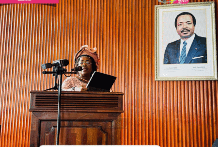 Cameroon Launches National AI Strategy to Drive Innovation by 2040 cameroon minister