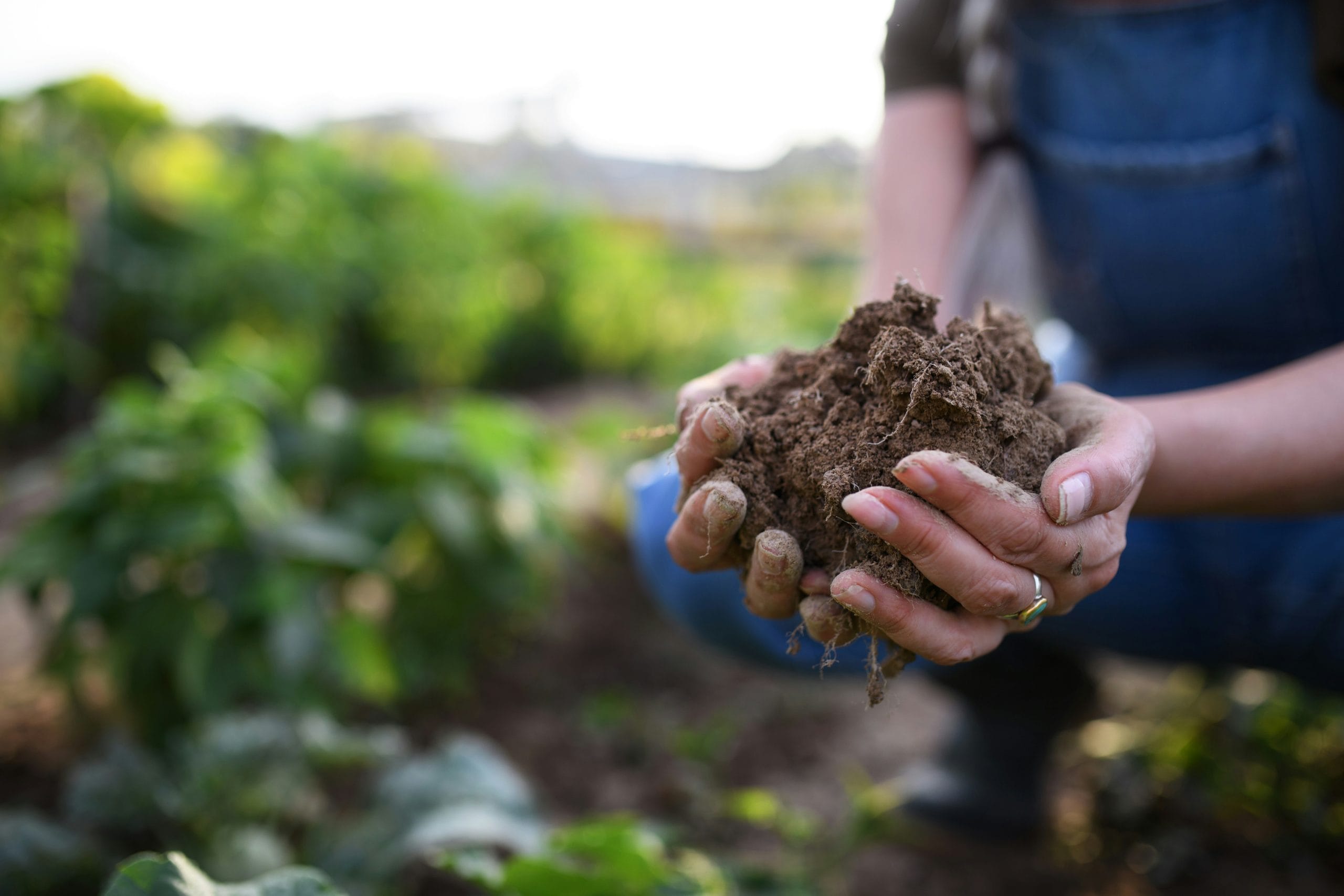 Tanzania’s MazaoHub Raises USD 2 Million to Expand AI-Powered Soil Intelligence for Smallholder Farmers Farm Soil