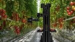 iafrica.com - Sean Whitehead - Egrobots Launches Arab World's First Autonomous Harvesting Robot, Fully Built by Egyptian Engineers