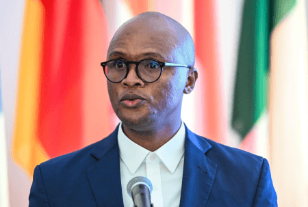 Malatsi Tells Parliament Department Only Caught AI-Hallucinated Citations After Media Exposé solly malatsi