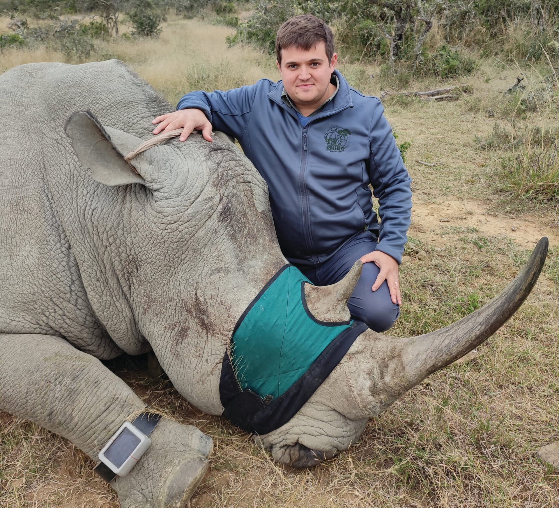 AI Rhino