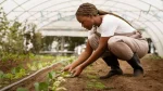 iafrica.com - Sean Whitehead - Four African Agritech Startups Using AI Where the Data Already Exists