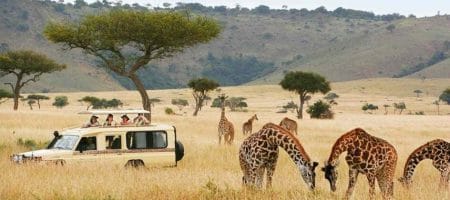 african travel africa business communities.c606b9bb6ce76bc4754e64b672eefdc3