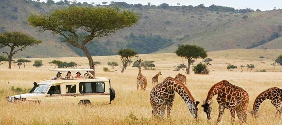 african travel africa business communities.c606b9bb6ce76bc4754e64b672eefdc3